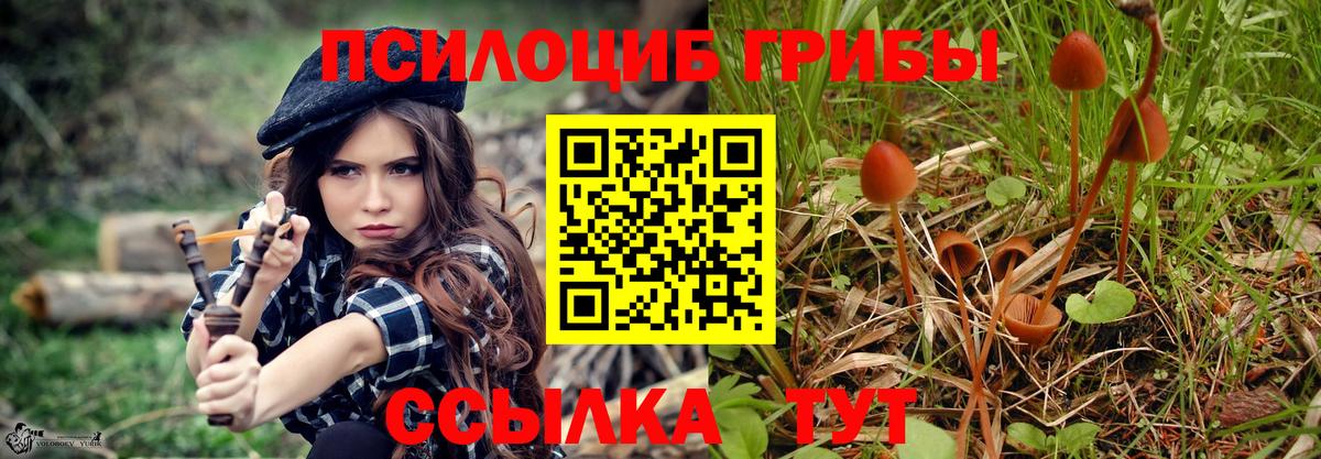 Псилоцибиновые грибы GOLDEN TEACHER Избербаш