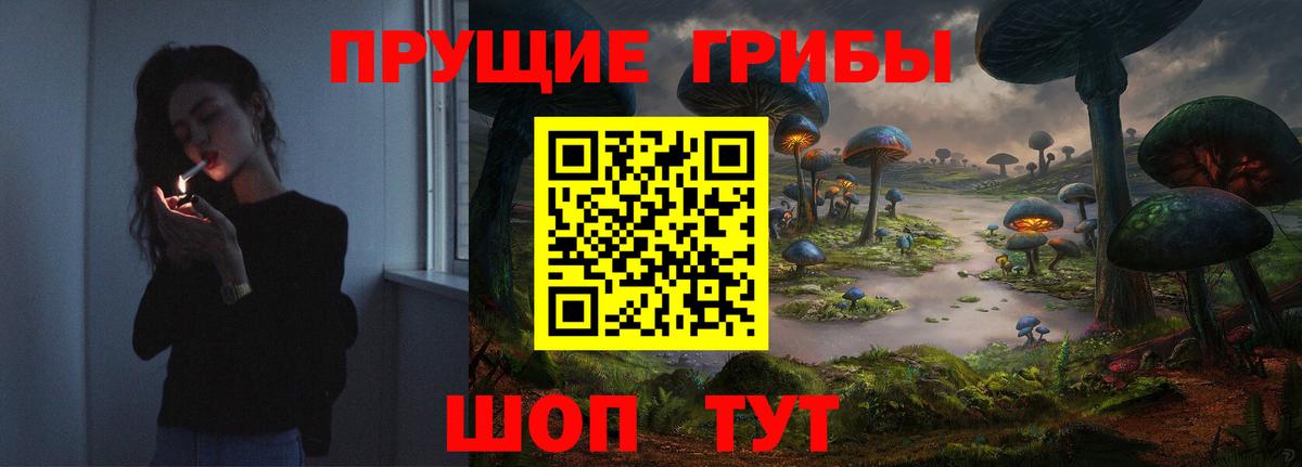 Галлюциногенные грибы GOLDEN TEACHER  Вход с VPN  Галлюциногенные грибы Magic Shrooms  Избербаш 
